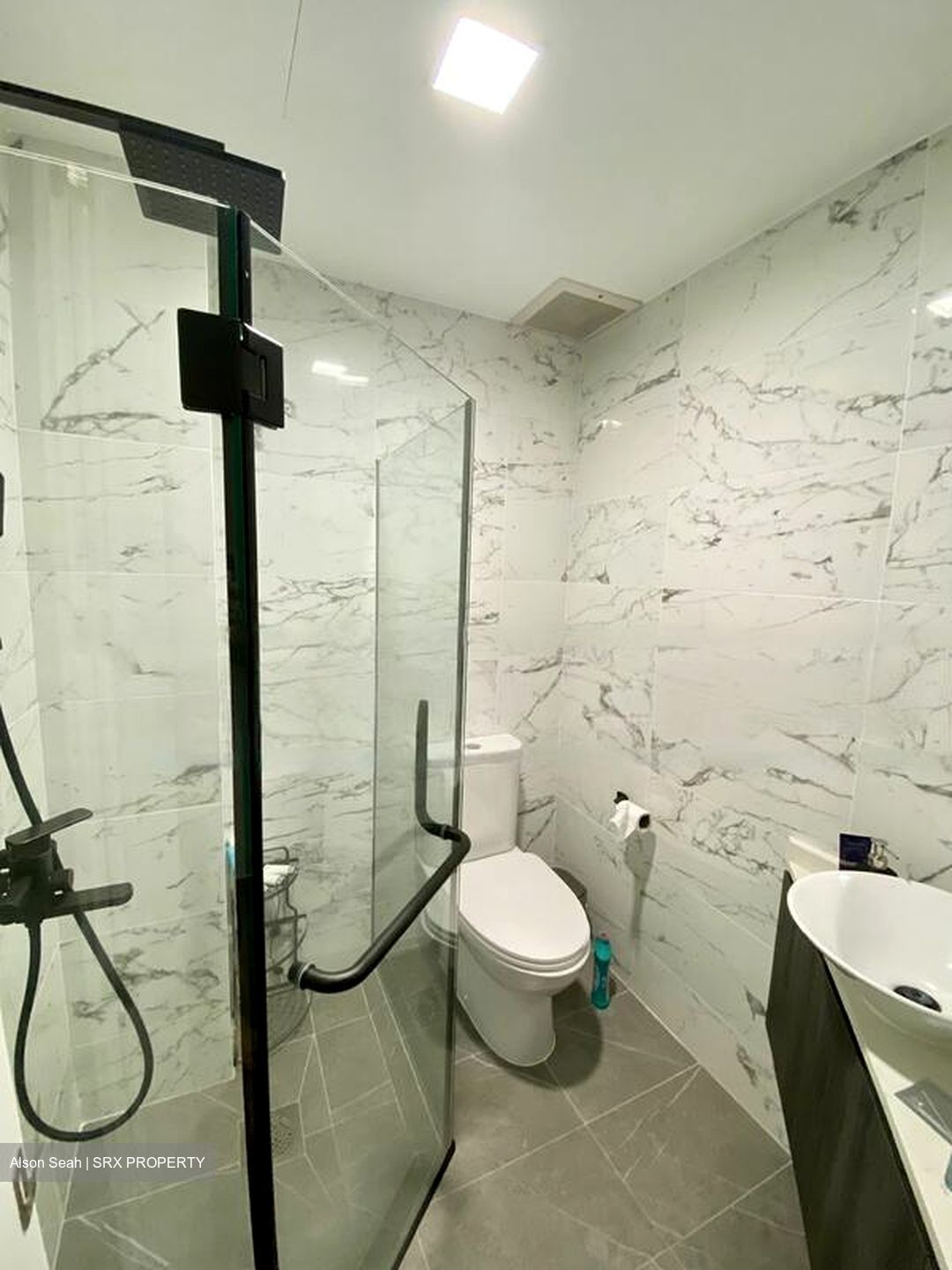 Shelford Regency (D11), Condominium #437563311